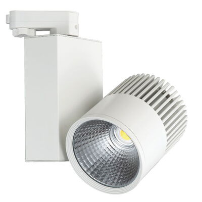 LED-Schienenstrahler "DF-3110" 30W