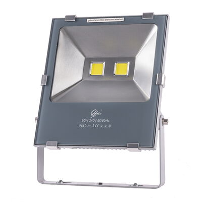 LED-Flutlichtstrahler "DF-51007-C-100-WW"