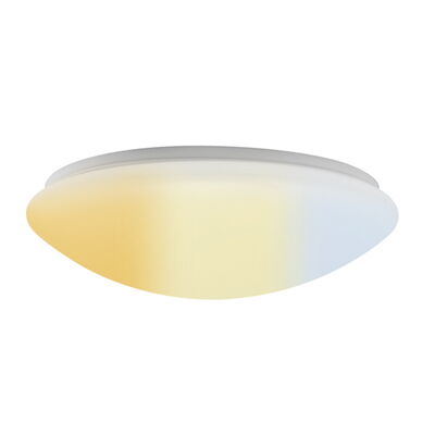 LED-Wand- und Deckenleuchte "DF-7022-CCT-N" mit Notstrom