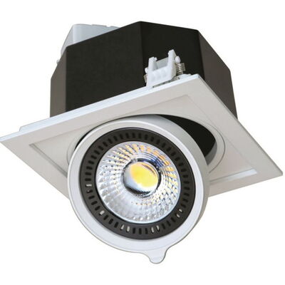 LED-Downlight "DF-81001"