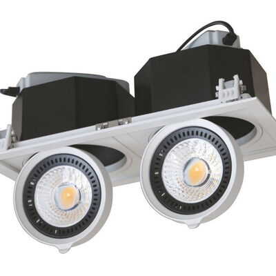 LED-Downlight "DF-81002"